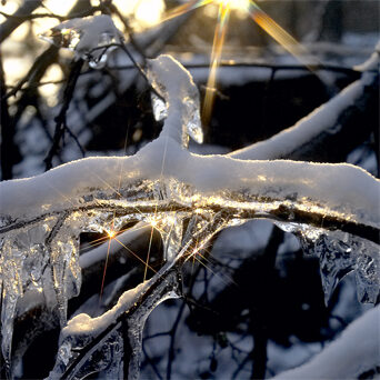 Webb_UP_D60_A9015